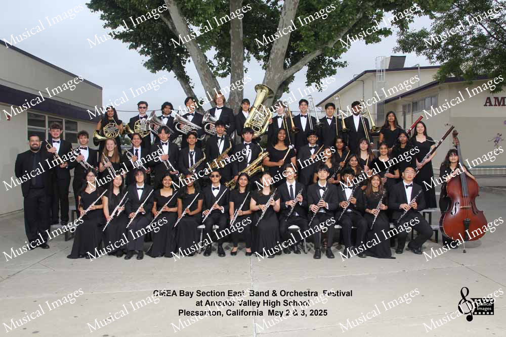 Musical Images